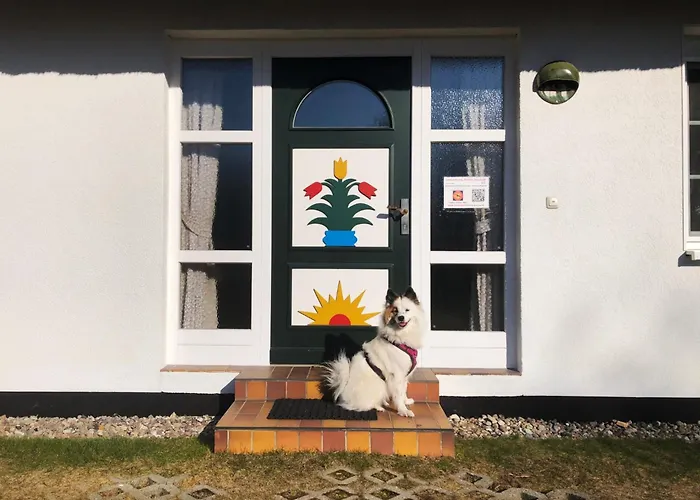 Achtern Darsswald G1 * بريرو